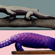 Illustration for article titled A Weird and Wonderful Gallery of Genetically Modified Animals of the Future